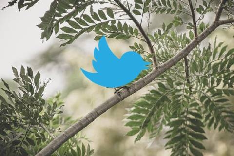 Twitter kupio udio u Aleph grupi, vlasniku Httpoola