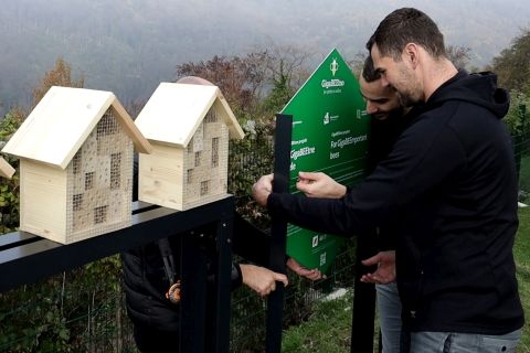 A1 nastavlja s brigom o pčelama, ovaj put na Medvednici