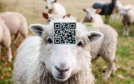 Praćenje porijekla hrane - blockchain projekt Ministarstva poljoprivrede težak 1,17 milijuna eura | rep.hr
