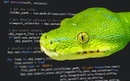 Naučite osnove Pythona | Edukacija i događanja | rep.hr