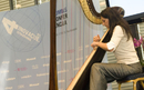 Zvuci harfe otvorili Combisovu konferenciju | Edukacija i događanja | rep.hr