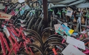 KING ICT poklonio 54 nova bicikla udruzi Oaza za djecu u udomiteljskim obiteljima | Tvrtke i tržišta | rep.hr