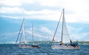 Startup Europe Regatta - vjetar u leđa startupima | Edukacija i događanja | rep.hr