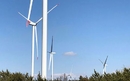 Pokrenuta Petrolova vjetroelektrana Ljubač kod Knina | Tvrtke i tržišta | rep.hr